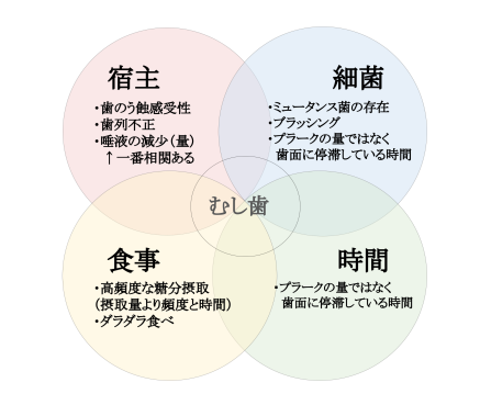 う蝕（虫歯）予防なら虫歯リスク診断を行う福岡天神ささだ歯科へ